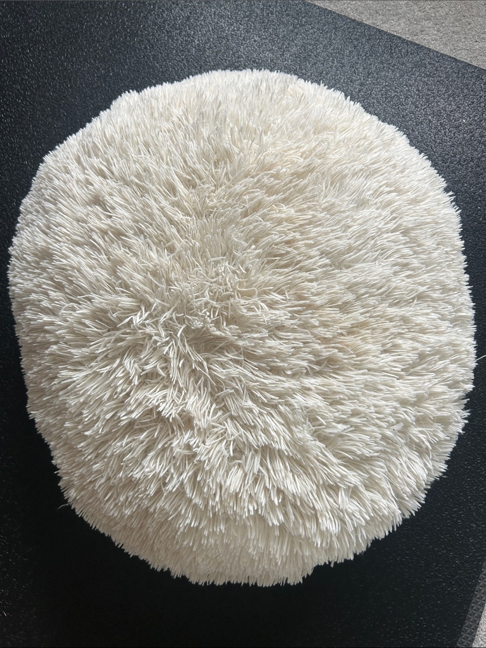Pillowfort Round Plush Shag Throw Pillow in Cream
